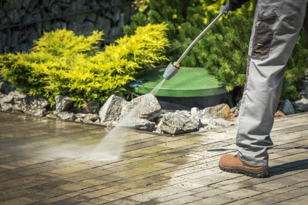 Best Pre-Holiday Cleaning  in Granvle, IL